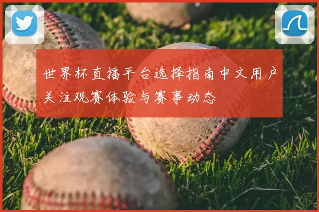 世界杯直播平台选择指南中文用户关注观赛体验与赛事动态