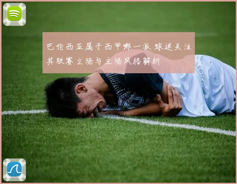 巴伦西亚属于西甲哪一派 球迷关注其联赛立场与主场风格解析